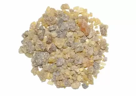 Estratto di Boswellia serrata
