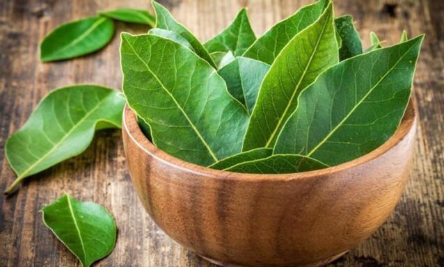 Foglie di alloro per preparare un decotto per alleviare il gonfiore del ginocchio dovuto all'artrosi