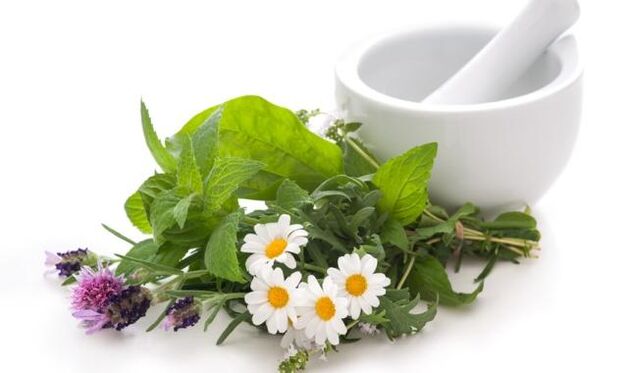 Le piante medicinali sono alla base dei rimedi contro gli effetti esterni dell'articolazione del ginocchio colpita da artrosi